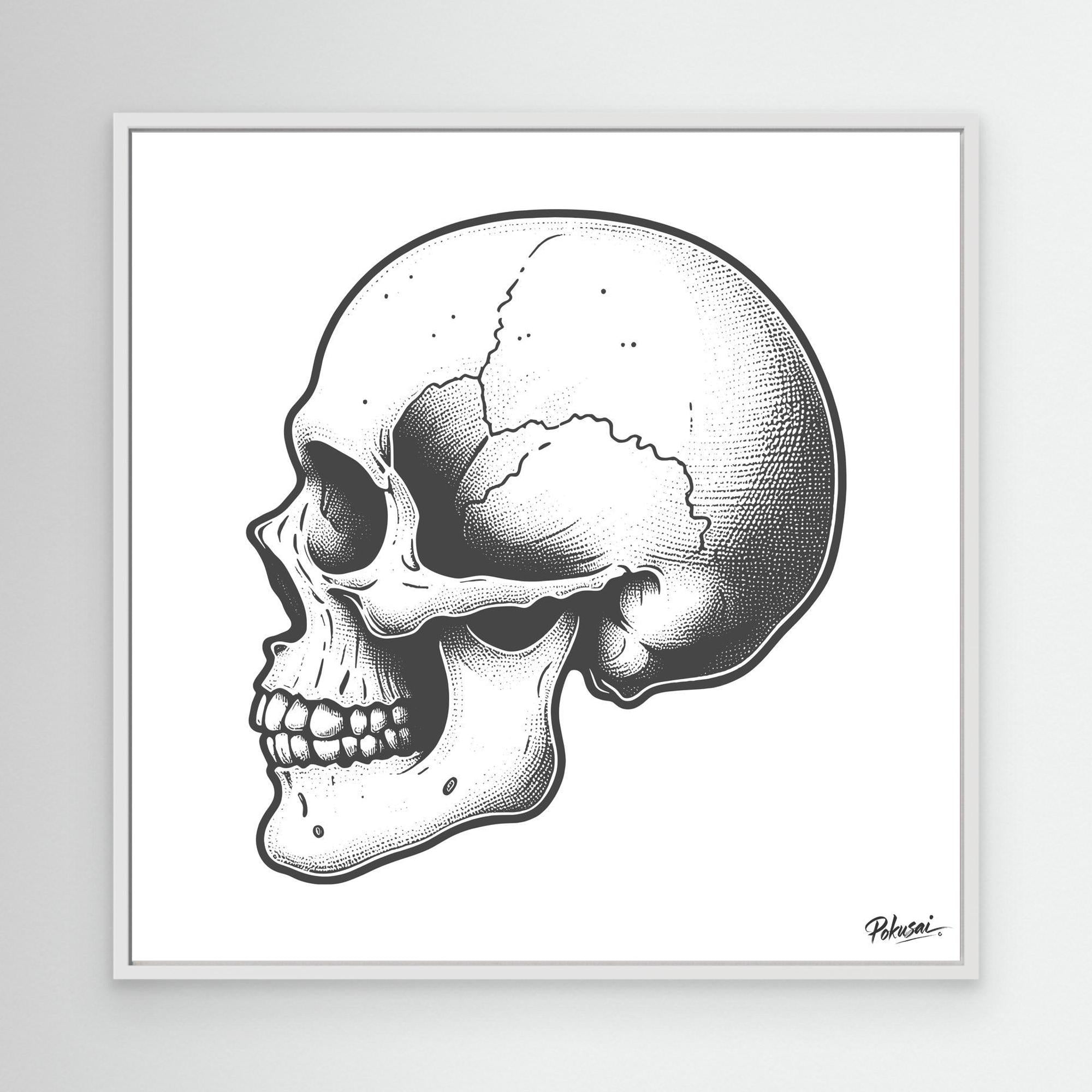 Skull Study No. XIII