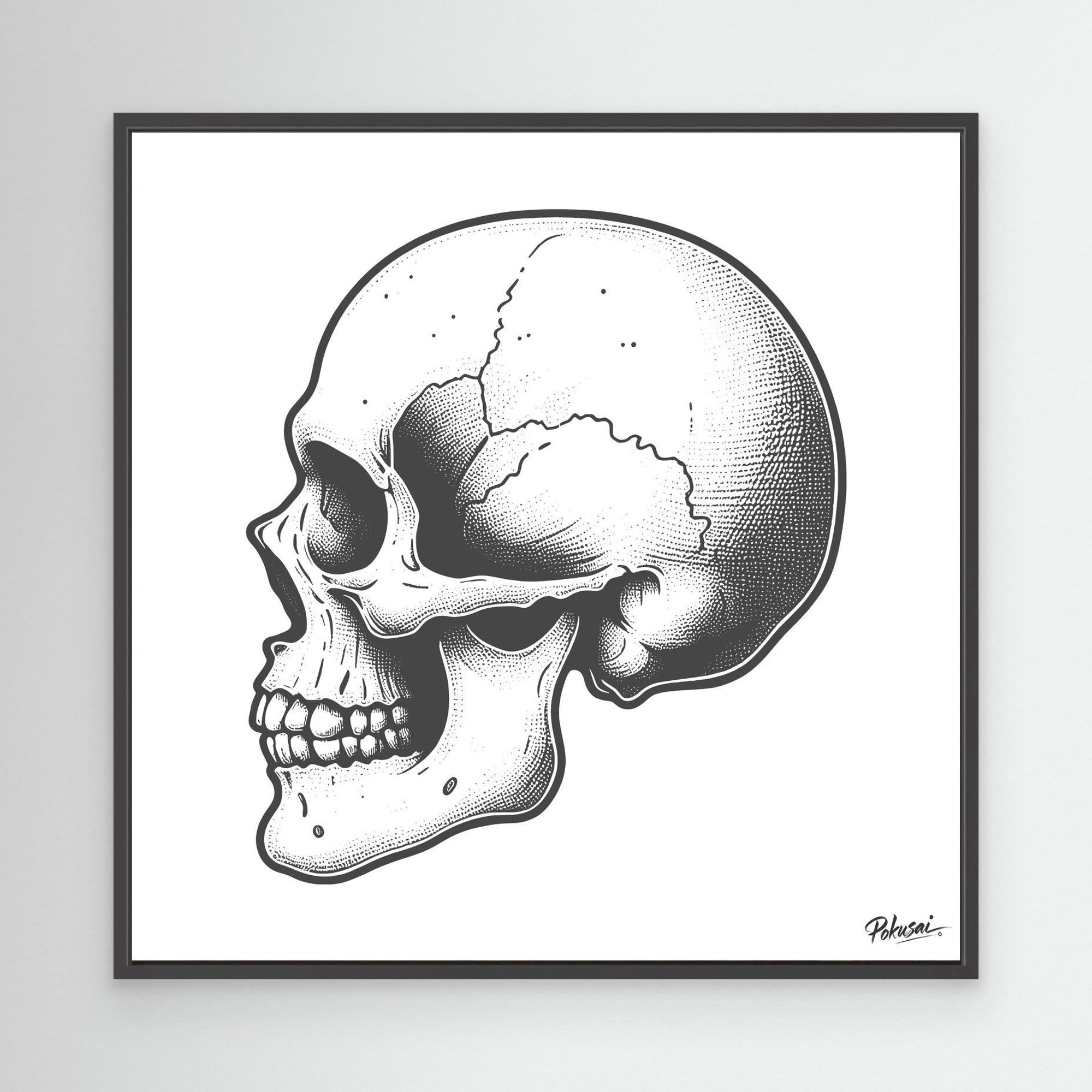 Skull Study No. XIII