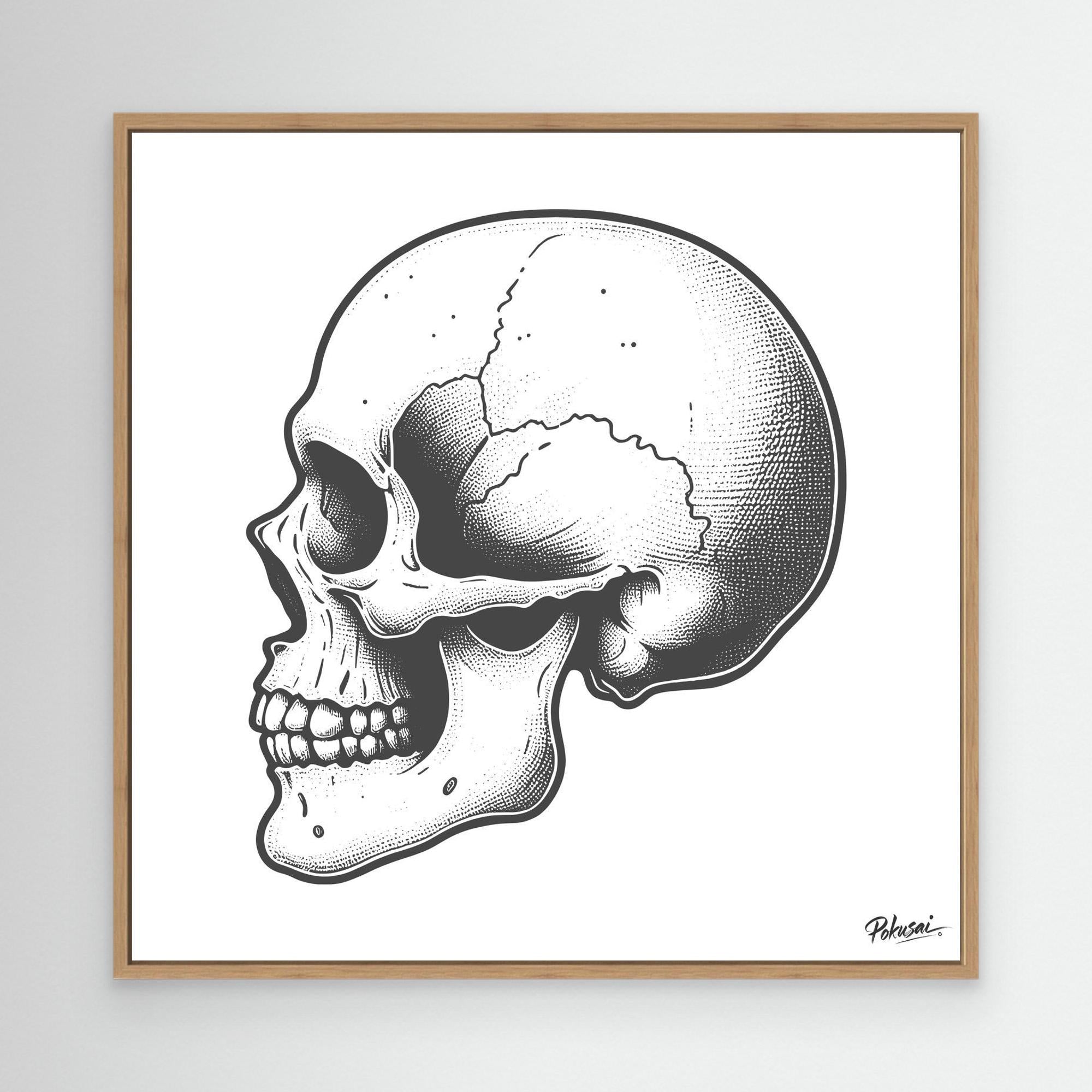 Skull Study No. XIII